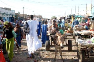 Mauritanie : la Société Financière Internationale débloque 1,4 million $ en faveur de la réforme du cadre des affaires 