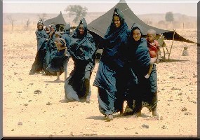 Les violences au Nord du Mali forcent plus de 20 000 personnes à l’exil estime l’Onu. 