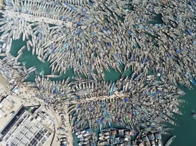 Mauritanie : reprise ce lundi de la pêche artisanale après un arrêt biologique de 75 jours