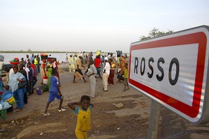 Mauritanie : destruction de produits prohibés pour plus de 300.000 dollars