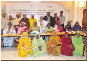 Plaidoyer : Accès à l'eau à usage agricole pour les femmes