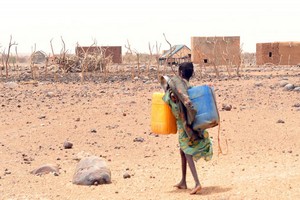 La Mauritanie attend toujours le retour de la pluie