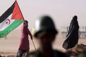 La question du conflit au Sahara occidental abordée lors d’un entretien entre Alger et Moscou
