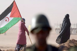 Sahara occidental : l'UFP invite le pouvoir de Ghazouani 