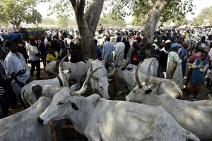 Au Sahel, sécheresse et jihad créent une