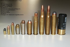 Sénégal : Saisie de munitions de guerre, trafiquées vers la Mauritanie