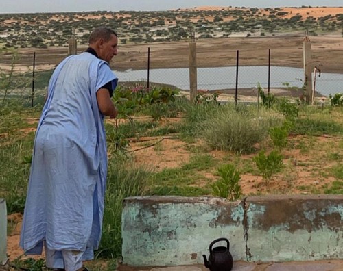 Mauritanie: la saison des pluies, l'occasion pour les citadins de renouer avec la nature