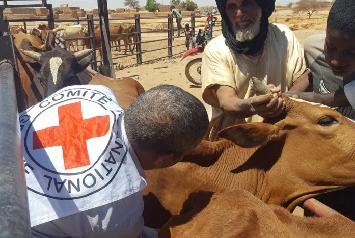Mauritanie-Santé : la fièvre de la vallée du Rift fait 4 morts