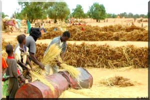 Une fatwa contre le blé texan : de quoi vit la Mauritanie ? De la charité internationale et de la vertu perdue
