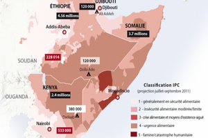 La Corne de l’Afrique, théâtre d’un commerce secret d’armes par la Chine