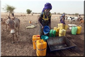 Sécheresse au Sahel: 13 millions de personnes concernées dès le mois de juin