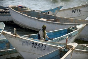« C’est un choc terrible » : en Mauritanie, le secteur de la pêche pris dans les mailles du coronavirus