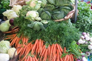 Concertation sur le rapport relatif à la sécurité alimentaire et à l'éradication de la faim à l’horizon 2030