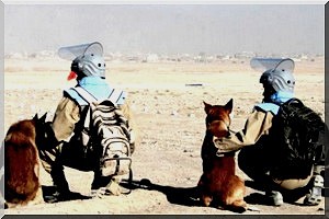 Pourquoi s’en prend-on à la MSP ?