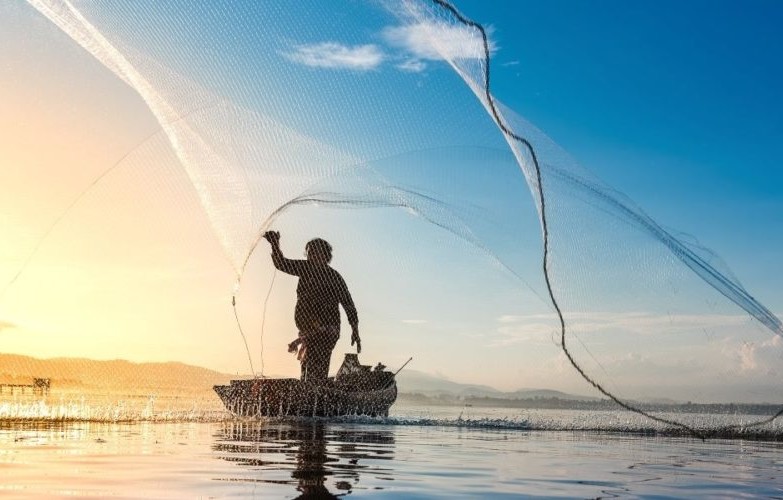 Nouakchott : 1ère édition de SEAFOOD, Salon Professionnel International de la Pêche en Afrique