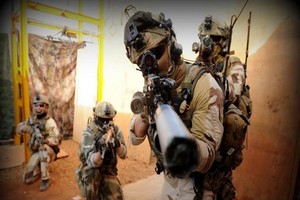 Une trentaine de djihadistes « neutralisés » au Mali et au Niger