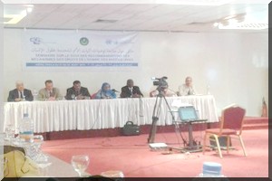 Création d’un collectif d’ONGs pour le suivi des recommandations des mécanismes onusiens de droits de l'Homme en Mauritanie