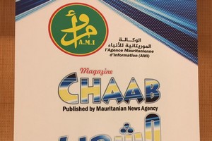 Mauritanie: suppression de la parution papier des deux quotidiens gouvernementaux