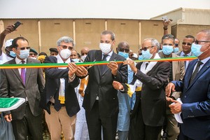 Artisanat - inauguration du centre de tannage d’El Mina à Nouakchott, financé par l'UE [photoreportage]