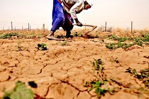 Mauritanie : le spectre de la sécheresse