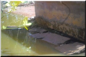 Moudjeria : Plusieurs écoles détruites par les eaux - [PhotoReportage]