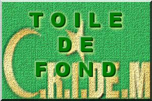 Toile de fond. Chronique. : De l’autorité du chef.