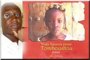 Bios Diallo présente : Vrilles à Tombouctou