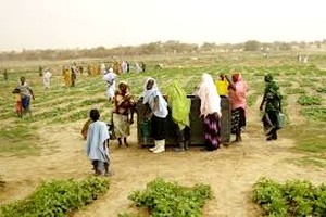 Mauritanie : 74 tonnes de semences traditionnelles aux agriculteurs de Brakna