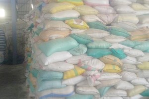 Mauritanie : des tonnes de riz local