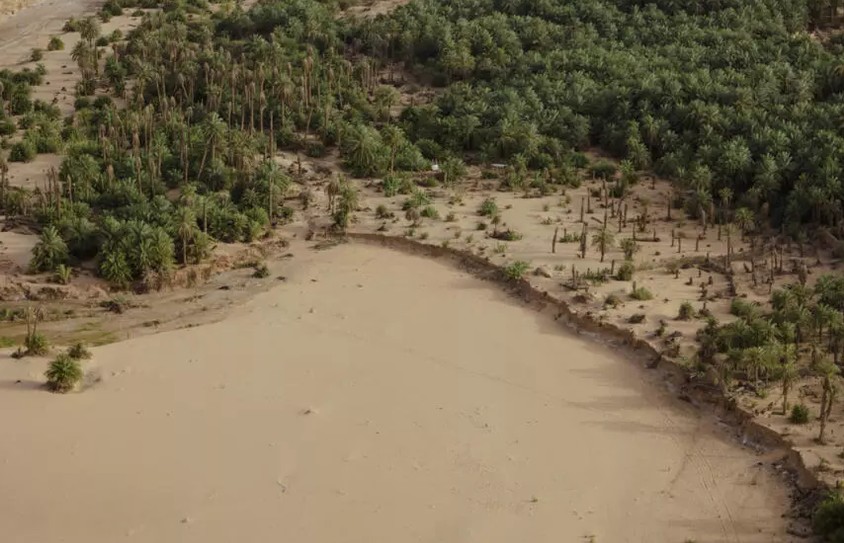 Mauritanie: trois tonnes de graines dispersées dans une nouvelle campagne de semis aériens