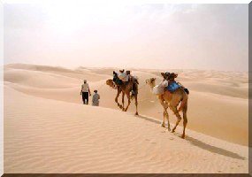 Naissance d’un réseau pour la promotion du tourisme et de la culture. 