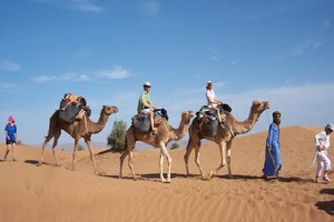 Mauritanie : près de 1000 touristes dans la région de l’Adrar