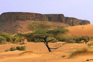 Adrar: La saison touristique 2017/2018, rapporte à la Mauritanie plus d’un million d’Euros…un bon(d) départ!!!