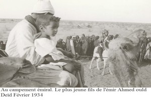 Le Trarza et la lutte anti coloniale (3)