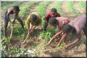 L’enfance perdue des petits travailleurs à Bandiagara