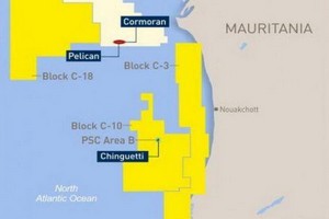 Mauritanie : les compagnies pétrolières étrangères battent en retraite