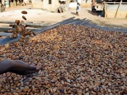Côte d'Ivoire et Ghana lancent un ultimatum aux multinationales du cacao
