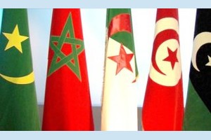 UMA : un marché de 100 millions de consommateurs à consolider
