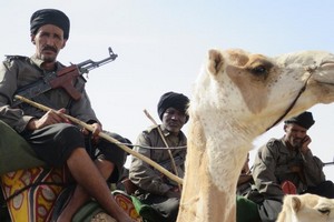 250 chameaux de l’UE pour l’unité méhariste en Mauritanie