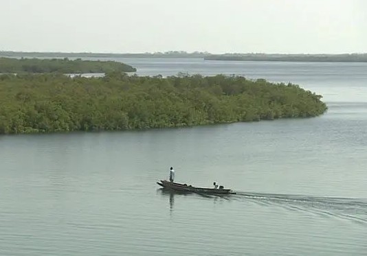 Comité d’urgence : les crues du fleuve ont submergé une zone près de Kaédi