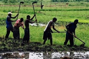 Les confiscations des terres tuent les villages. Soutien à Dar el Barka