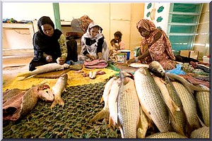 Mauritanie : faible niveau de développement, selon PNUD 