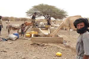 Retards de pluie. L’inquiétude envahit les populations de vastes régions de la Mauritanie