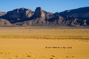 Tchad, Mauritanie ou Botswana: l'Afrique veut séduire les voyagistes français 