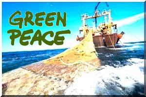 Greenpeace réagit à la validation du protocole de pêche Mauritanie/UE