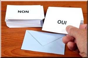 Congrès du Parlement ou referendum populaire : Les amendements de la discorde