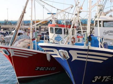 Accord de pêche Mauritanie-UE : quatre pays européens plaident pour une prolongation du protocole actuel