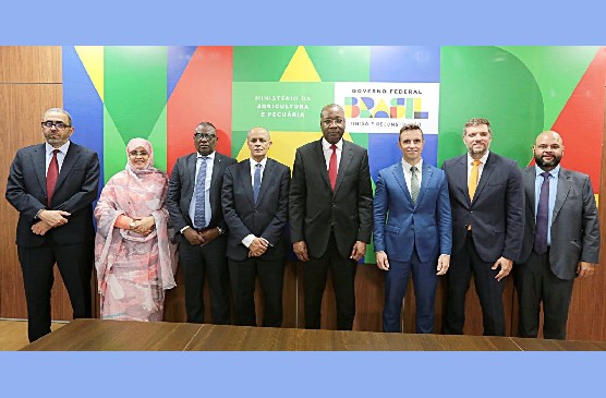 Élevage : la Mauritanie et le Brésil vers un partenariat stratégique 2026-2031
