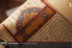 Vidéo. Mauritanie : des bibliothèques d'exception en plein désert 