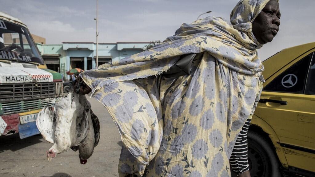 Mauritanie : l'opposition dénonce la hausse du coût de la viande